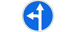 Partner